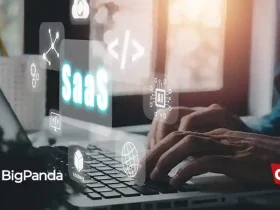 BigPanda
